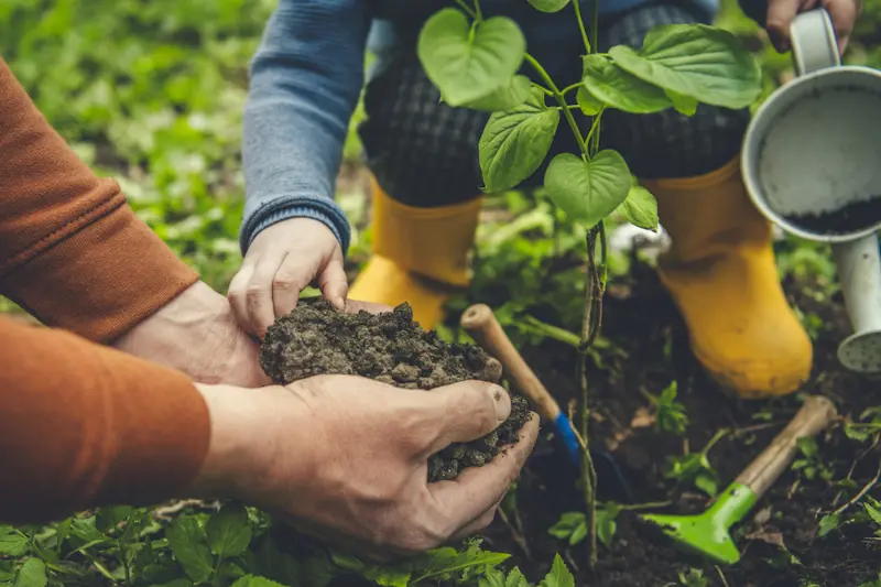 step-by-step guide how to start a vegetable garden at home – easy gardening tips for beginners