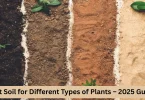best soil for different types of plants – 2025 guide